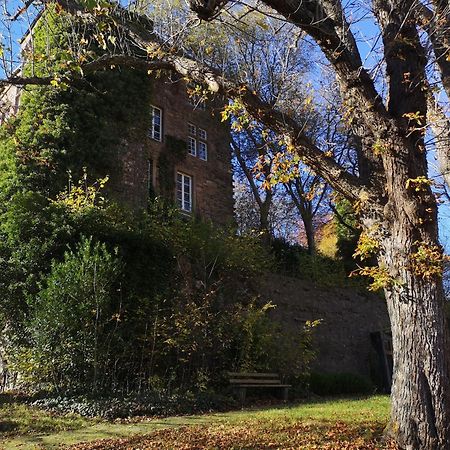 Ferienwohnung Eifelblick Schleiden Εξωτερικό φωτογραφία